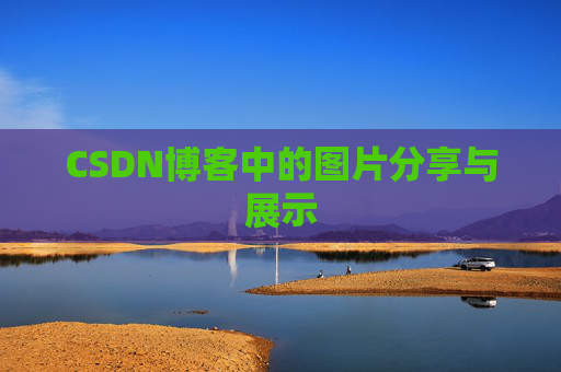 CSDN博客中的图片分享与展示
